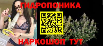 прущие крисы Нальчик