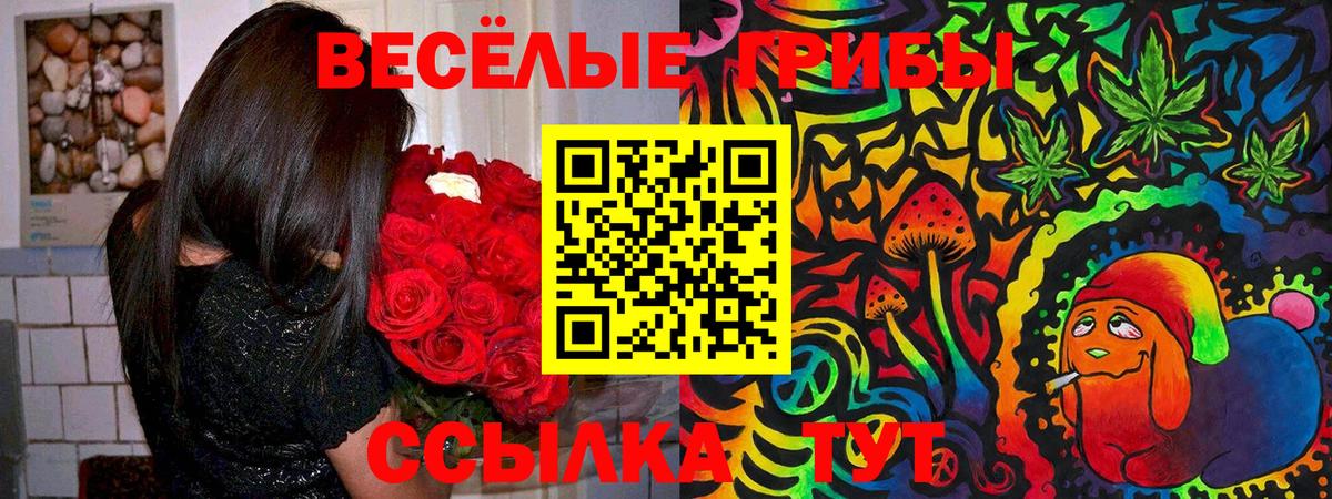 Псилоцибиновые грибы Magic Shrooms Чебоксары